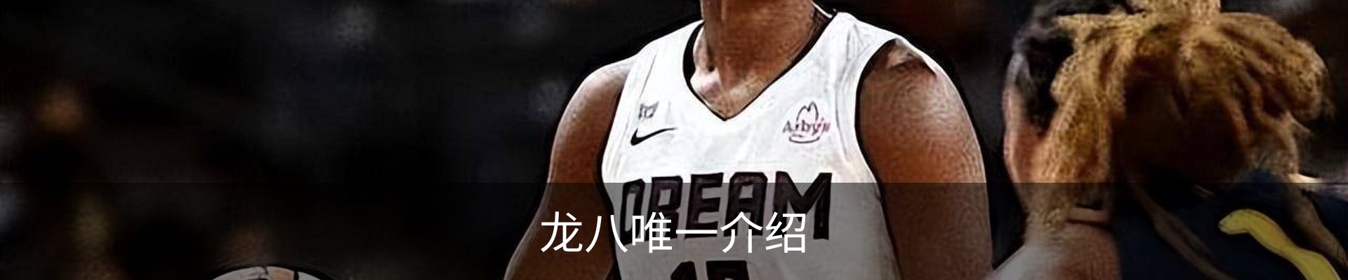 龙八唯一介绍